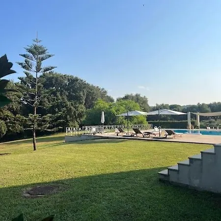 فيلة Astoria
